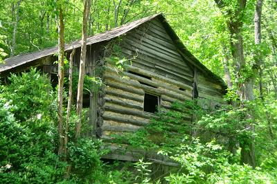 Paw Paw Fixer-Upper -- with Barn