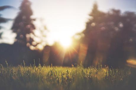 It’s Summer! Travel Plans and Goals summer plans and goals