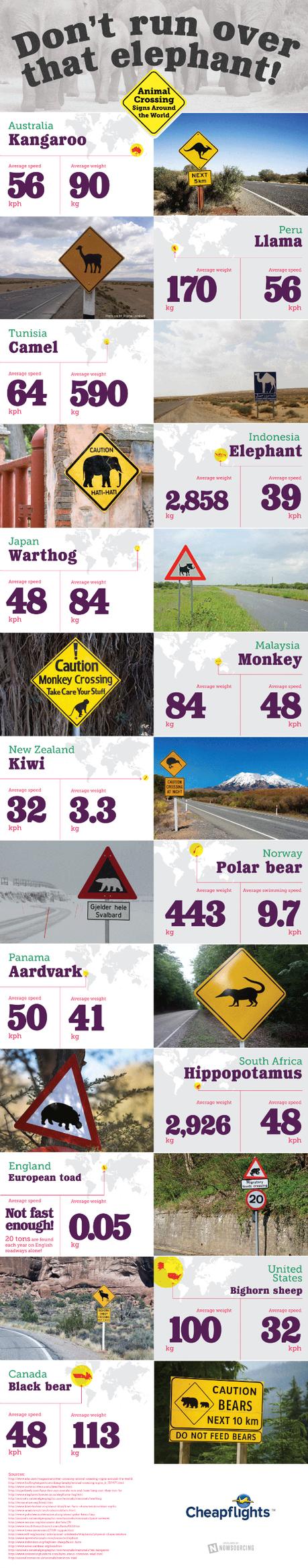 Don’t Run Over That Elephant: Animal Crossing Signs Around The World animal-crossing-signs-around-the-world-01 550px