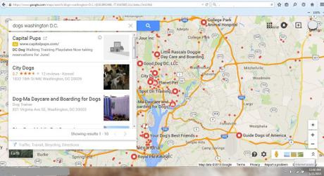 For Google Maps, Obama is a racist, traitor and usurper Google Maps dogs