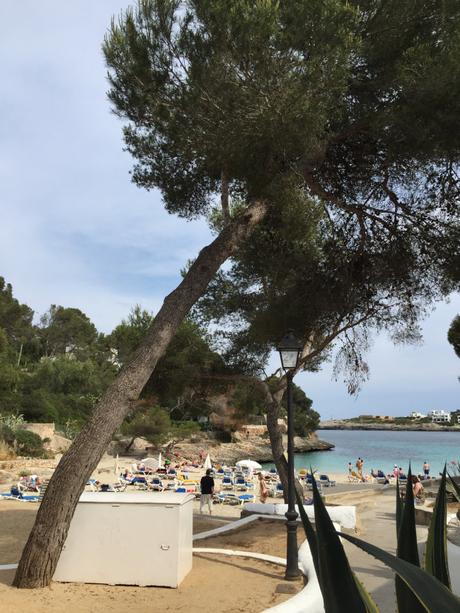 5 things to do on Cala D’or beach in Mallorca