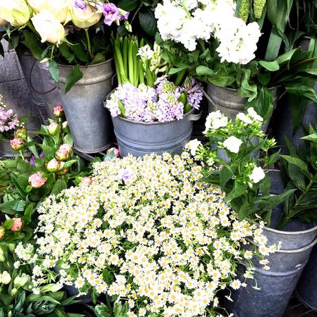London Flowers and a New Blog