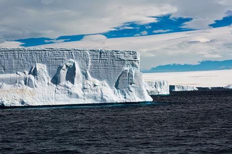 ANTARCTIC CRUISE, Part 3: South Georgia to the Weddell Sea, Guest Post by Owen Floody