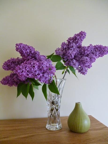 Lilac picked from the garden