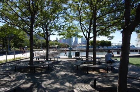Hudson River Park 'Pier 46', New York, USA -  Tree Providing Shading for  Seating