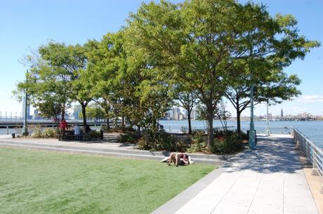 Hudson River Park 'Pier 46', New York, USA - Stand of Trees at the End of Pier