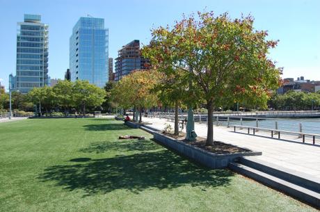 Hudson River Park 'Pier 46', New York, USA - Tree Planting to the Edge of the Lawn