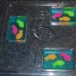Tropical Fish Soap Recipe DSC_0527