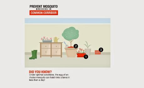Dengue prevention starts at home