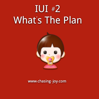 IUI #2:  What's The Plan For Conceiving My Bundle Of Joy
