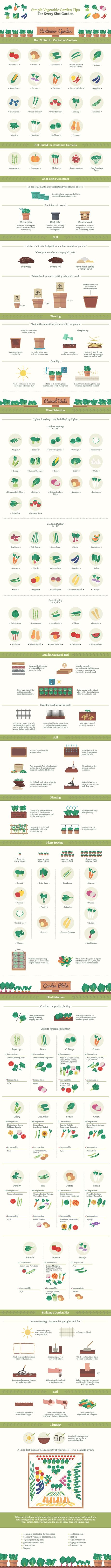 Vegetable Gardening Tips for every sized garden