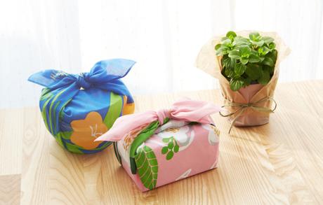 Beauty News: Do your part to save the earth with Innisfree’s Eco-Hankerchief campaign! Innisfree Eco Hankerchief lunchbox