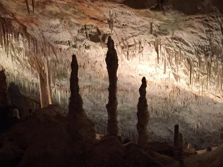 Visit the Caves of Drach on the Island of Mallorca