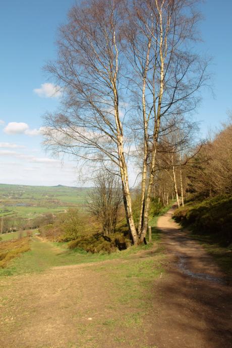 Walking in The Chevin