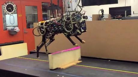 robot-cheetah-mit-jump