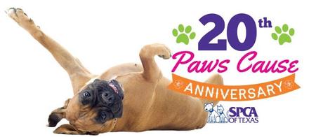 SPCA Celebrates 20 Years of Paws Cause on June 14