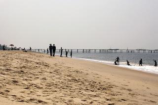 Water Sports and Activities in Alleppey Beach