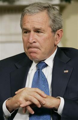 George W. Bush Revealed