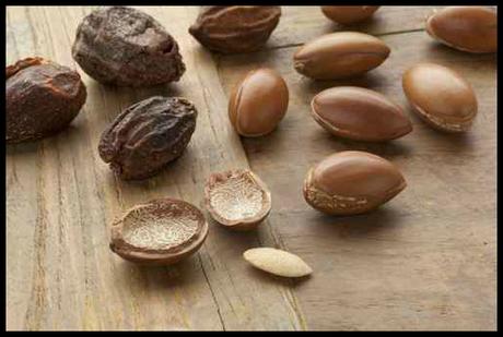 argan oil nuts, savvy brown