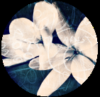 Bill Carpenter, Reflections on Dying, Service and End of Life caretakerfriend2