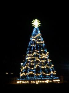 Barrel Christmas Tree