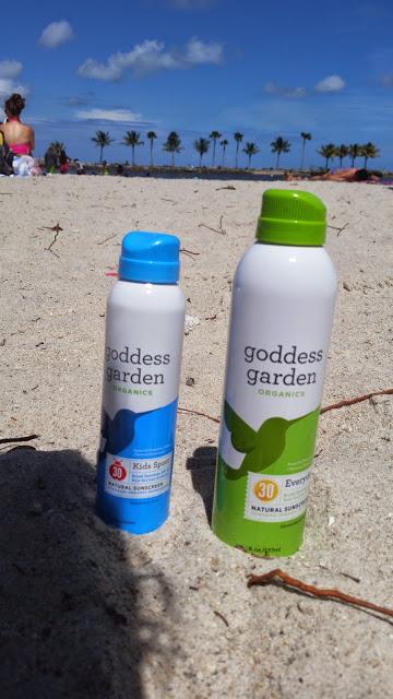 An Afternoon of Beach Fun An Afternoon of Beach Fun