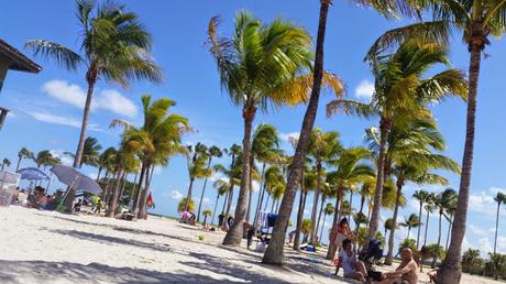 An Afternoon of Beach Fun An Afternoon of Beach Fun