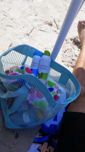 An Afternoon of Beach Fun An Afternoon of Beach Fun