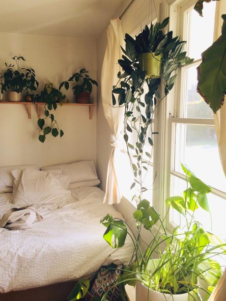 bohemain bedroom house plants