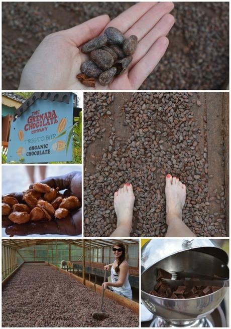 A Weekend In Grenada Belmont Estate Chocolate Tour via @FitfulFocus