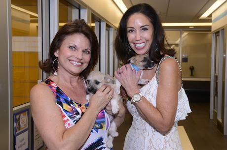 Oh, Yappy Day! Paws Cause Celebrates 20 Years of Fund-Raising Fun for the SPCA