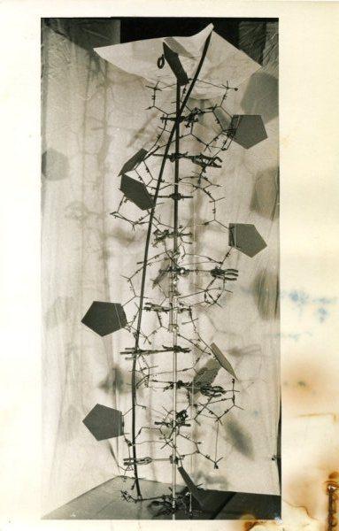 Alexander Rich, 1924-2015 Alexander Rich, 1924-2015