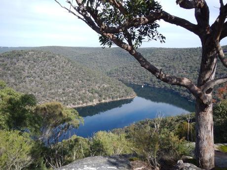 Smiths Creek, a tributary of Cowan Water, itself a tributary of the Hawkesbury River