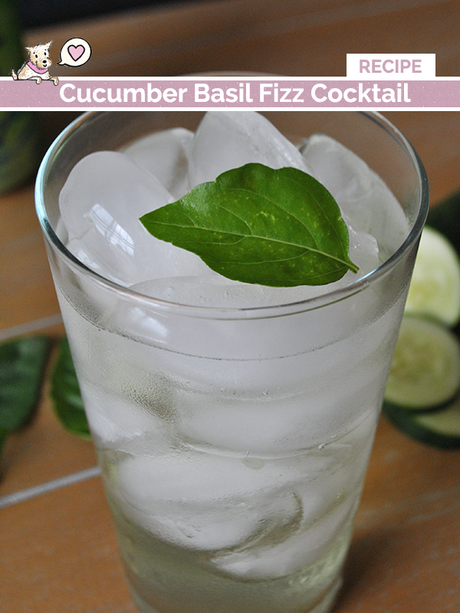 cucumber basil cocktail recipe