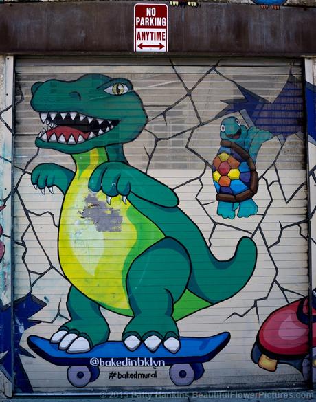 Brooklyn Street Art (c) 2015 Patty Hankins