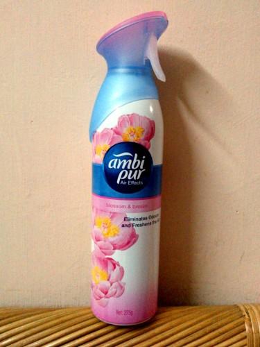 Goodbye to household odors with Ambi Pur #SmellytoSmiley