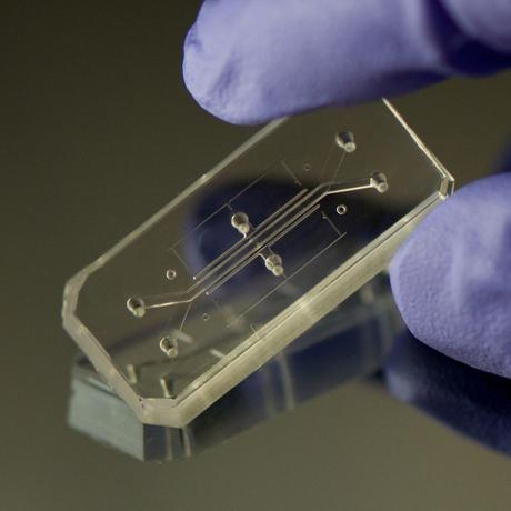 Design of the Year 2015 - Human Organs-on-Chips