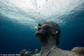 Image result for looking up underwater