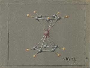 The Ferrocene Molecule.
