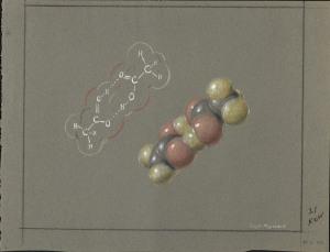 The Double Molecules of Acetic Acid. Pastel drawing by Roger Hayward.  As with all of the pastels used as illustrations with this blog post, the Acetic Acid pastel shown here was not the final version published in 