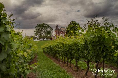 Niagara on the Lake, Ontario, vineyards, grapes, wine, victorian house, escarpment