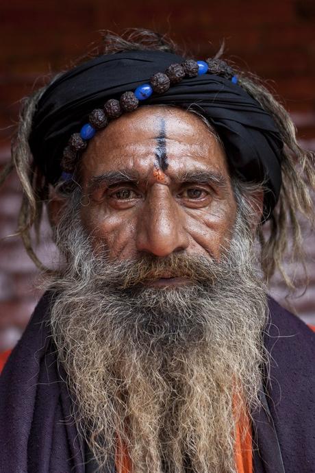 Classical Hinduism sadhu