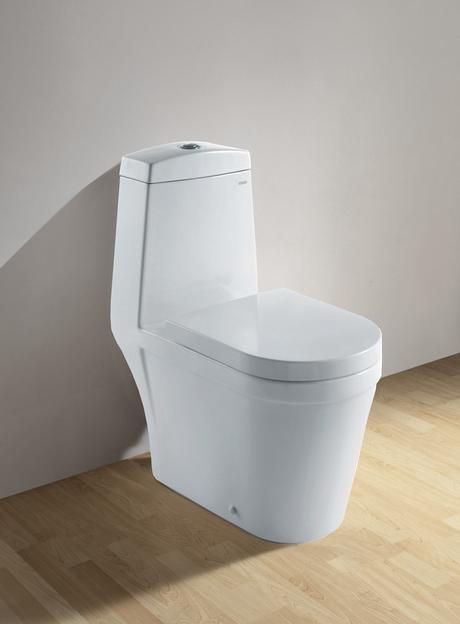 best water efficient toilets