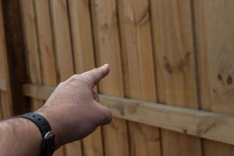 pointing at wooden fence