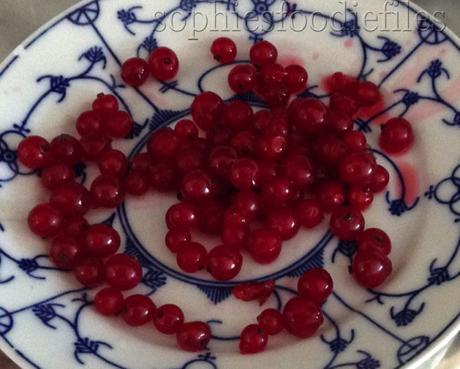 Raw carob red currant chocolates! Vegan & gluten-free too! :) Raw carob red currant chocolates! Vegan & gluten-free too! :)