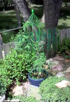 Hand Spun Gifted Wool Hand Spun Gifted Wool