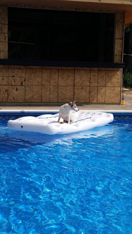 Life Lately July Edition Life Lately July Edition