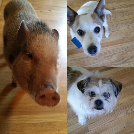 Life Lately July Edition Life Lately July Edition