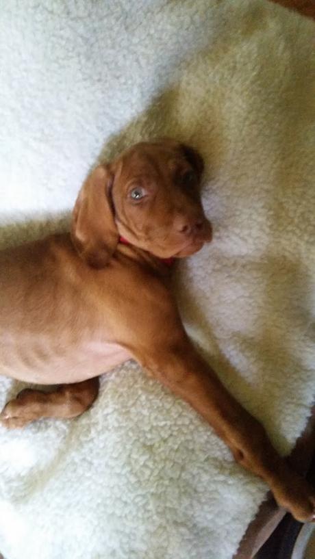 Life Lately July Edition Life Lately July Edition