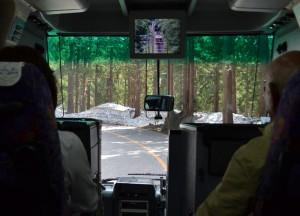 Tateyama Kurobe Alpine Route (Japan) Bus in Pine Forests, Alpine Route by JR Pass Japan Rail